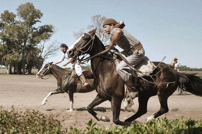 Best Deal Buenos Aires: Tigre Delta & Gaucho Experience - Indulging in an Argentine BBQ