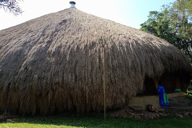 Best Full Day Cultural Tour of Kampala - Inclusions and Amenities