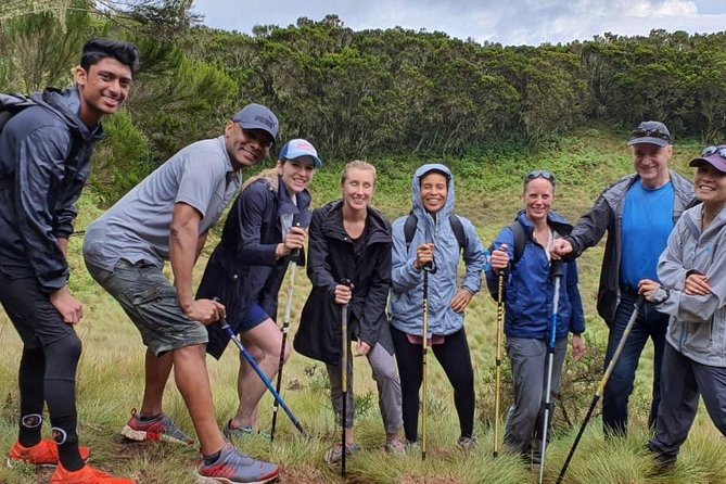 Best Kilimanjaro Hiking Day Trip Tour With Kilinge Adventures - Itinerary and Schedule
