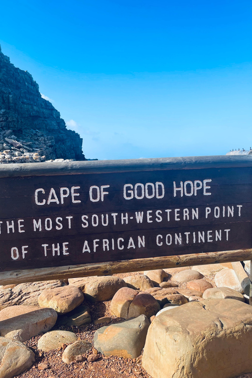 Best of the Cape: Table Mountain, Cape of Good Hope Day Tour