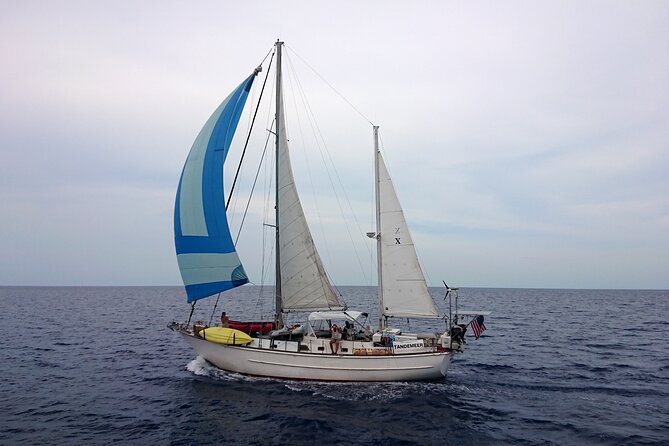 Best Private Luxury 3 Hour St. John Sailing & Snorkel Charter - Snorkeling Excursions at Honeymoon Beach