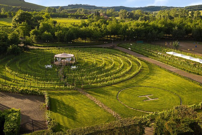 Best Winery With Restaurant and Wine Tasting From Florence - Dining Experience