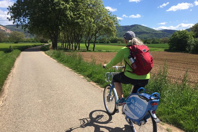 Bicycle Tour From Heidelberg to Quaint Ladenburg. - Tour Details