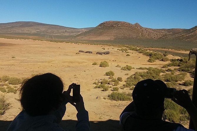 Big 5 Full Day Safari Aquila Lunch Plus Breakfast From Cape Town - Included Amenities and Provisions