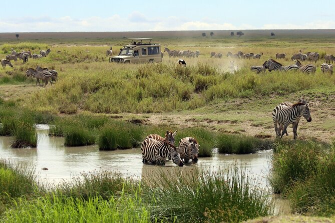 Big Five Luxury 7 Days Safari Tour in Arusha - Itinerary Highlights
