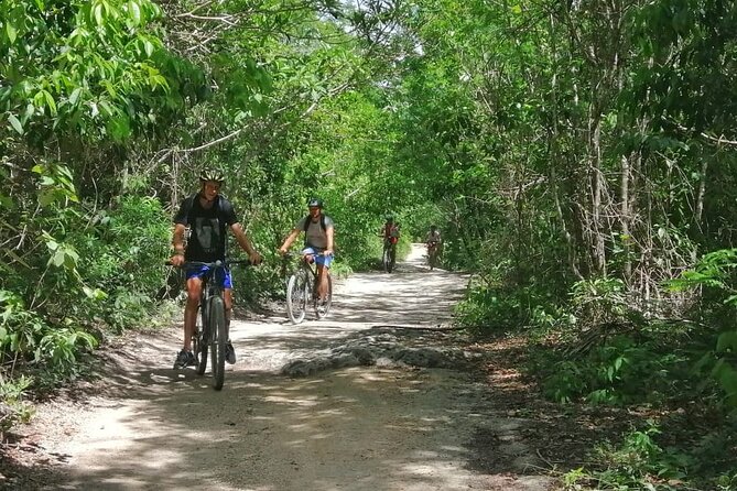Biking Into A Hidden Jungle Cenote - Guide Highlights