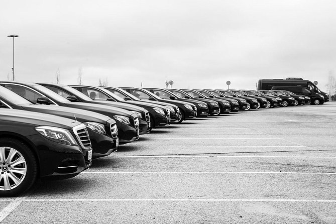 Bilbao Airport Private Arrival Transfer to Various Cities - Meet-and-Greet and Pickup Process