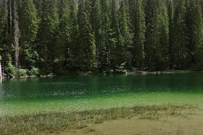 Biogradska Gora National Park & Skadar Lake Boat Tour - Highlights of the Experience