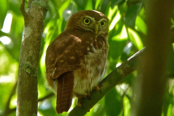 Bird Watching in Sian Ka'an and Muyil Archaeological Site - Pickup and Meeting Details