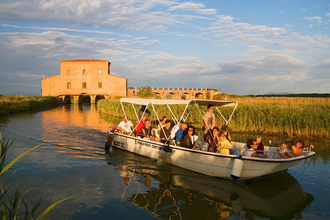 Birdwatching and Photo Tour in Diaccia Botrona - Booking Information
