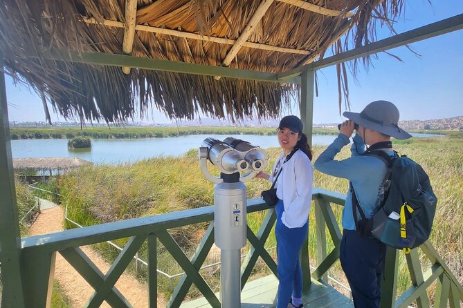 Birdwatching and Trekking in Lima City - Highlights of Birdwatching