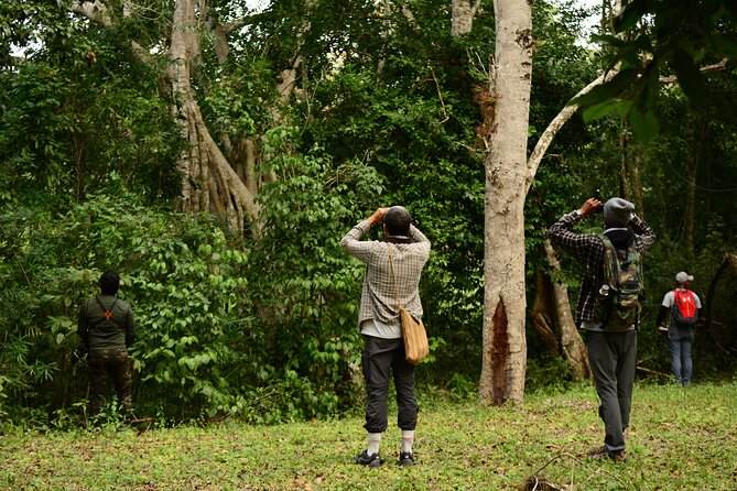 Birdwatching in Coba From Tulum - Itinerary Details