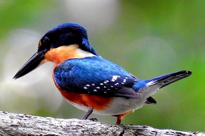 Birdwatching in Sian Ka'An and Muyil Archaeological Site From Tulum - Location and Meeting Point