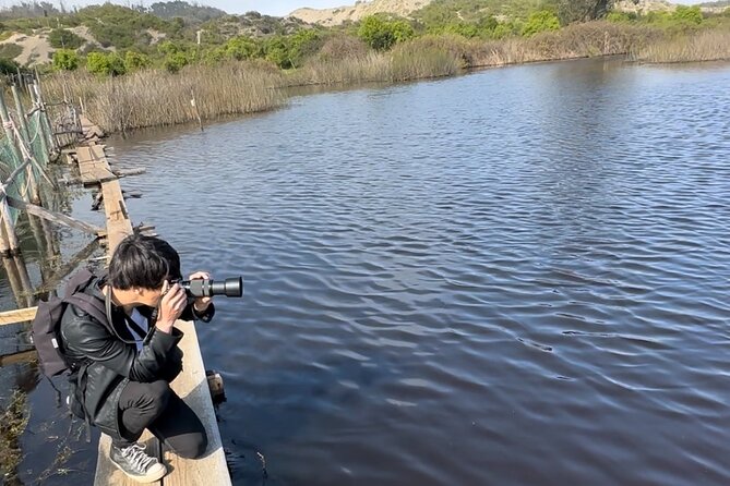 BirdWatching Mantagua Wetland&Penguins Cachagua Island From Valpo - Meeting and Pickup