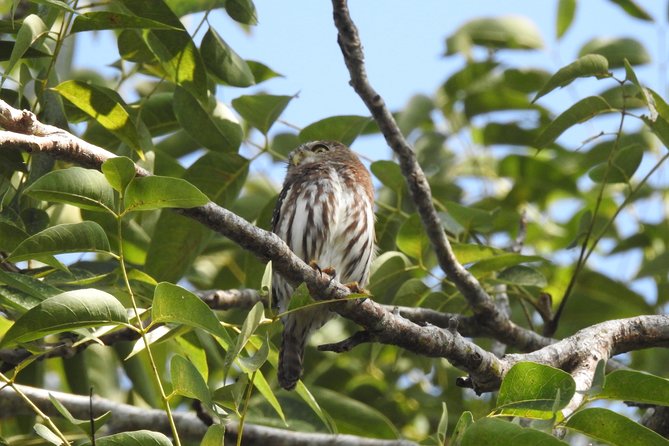 Birdwatching Playa Del Carmen - Health and Safety Requirements