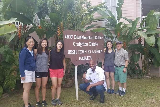 Blue Mountain Coffee Tour From Ocho Rios - Coffee Plantation Experience