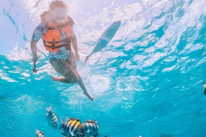 Boat and Snorkel Tour to 5 Islands of Los Arcos - Experience Highlights