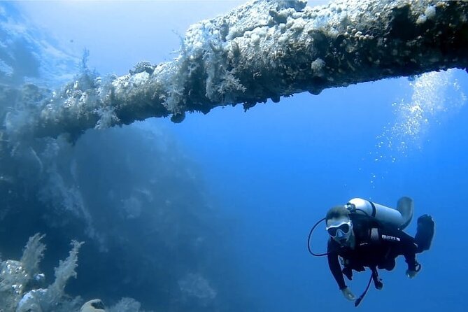 Boat Dive 2 Guided Dives With Lunch Included Wreck Dive&Reef Dive - Guided Dive Details