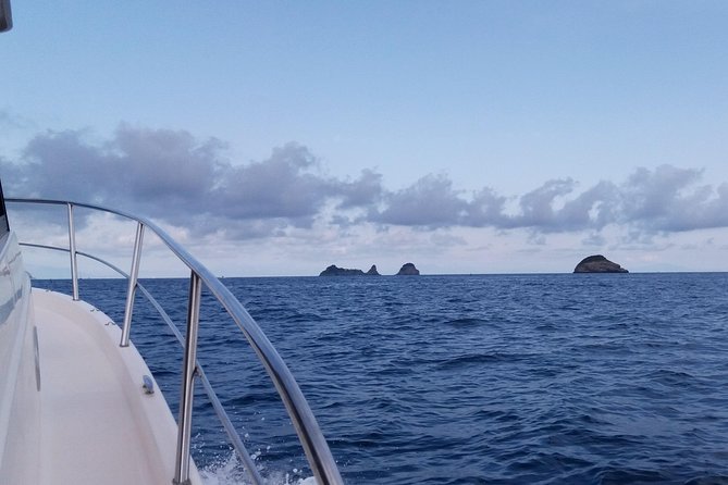 Boat Tour on the Way of the Syrens - Visiting the Enchanting Li Galli Islands