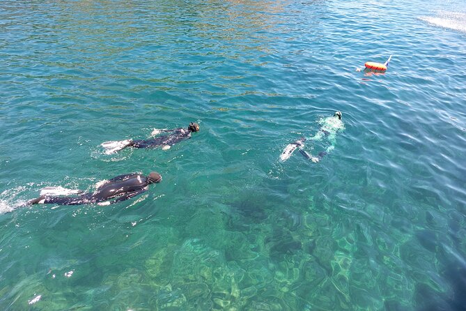 Boat Trip to Cabras Islet - Meeting and Pickup