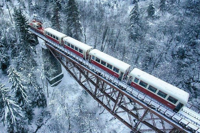 Borjomi/Bakuriani Private Full Day Tour From Tbilisi - Discovering Central Park