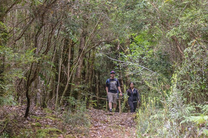 Bosque Piedra Reserve Tour - Inclusions and Pickup Details