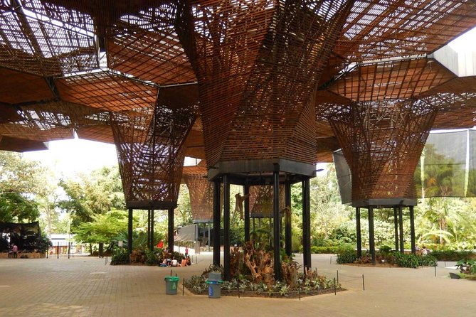 Botanical Gardens and Medellin City Walking Tour - Highlights of the Walking Tour