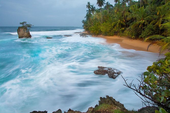 BRIBRI Chocolate Tour & Cahuita National Park From San Jose - Whats Included in the Tour