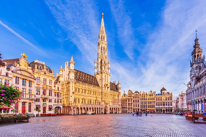 Brussels in 1 Day - Walking Tour - Audioguide in 7 Languages - Inclusions and Requirements