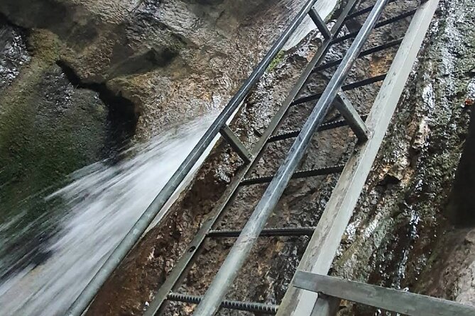 Bucharest Private Canyoning, Hiking, and Ziplining Tour - Customer Reviews Breakdown