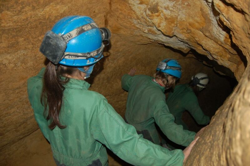 Budapest: Adventure Caving Tour With Guide - Caving Experience Highlights
