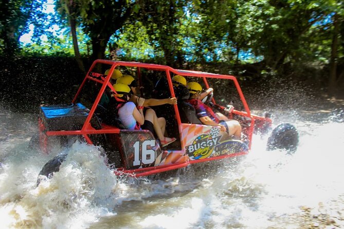 Buggy Tour Excursion in Taino Bay and Amber Cove Port - Meeting and Pickup