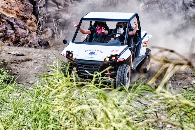 Buggy Tour of 2 Hours in the Afternoon With Transfers Only South Zone - Tour Duration and Reviews