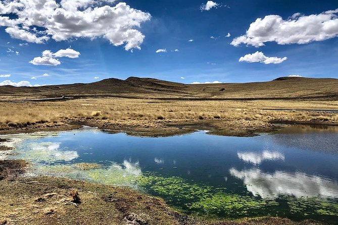 Bus From Puno to Chivay With Stops - Inclusions