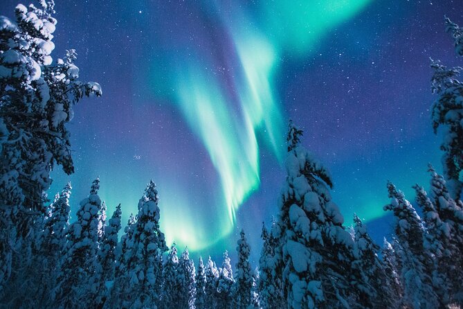 Bus Tour With Hunting Northern Lights - Tour Details