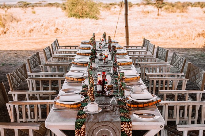 Bush Lunch in the Wild in Serengeti & Tarangire National Parks - Accessibility Details