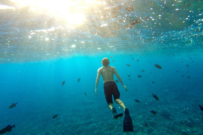 Cabo Arch & Snorkeling Tour - Meeting and Pickup Details