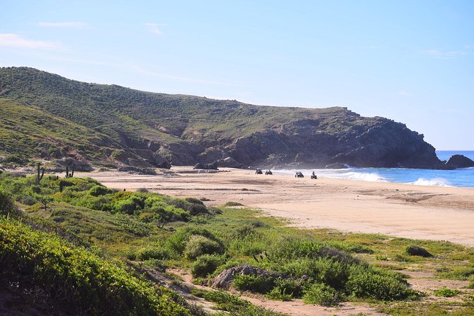 Cabo Migrino Beach & Desert Tour (Quad UTV) - Transportation and Pickup Details