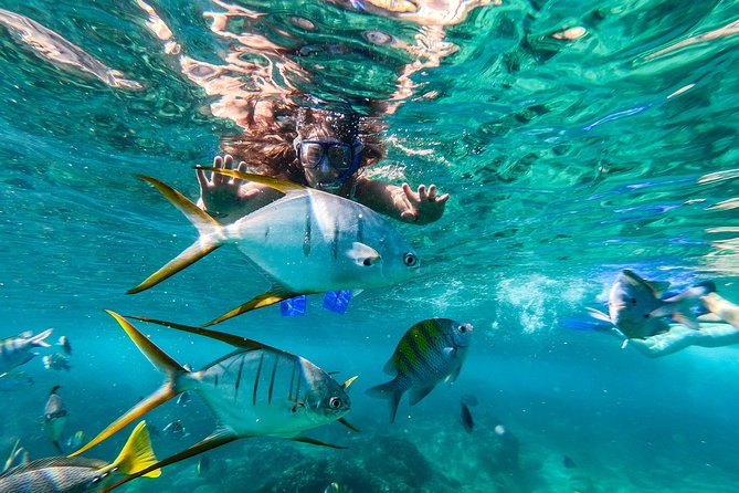 Cabo San Lucas Shopping, Tequila Tasting, and Snorkel Tour - Inclusions and Exclusions