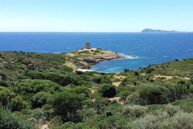 Cagliari: Full-Day Private Tour of Sardinias Hidden Beaches From Chia - Exploring Sardinias Hidden Beaches