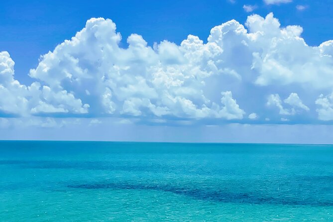 Caicos Banks Turquoise Water and Brewery ATV Tour - Included Experiences
