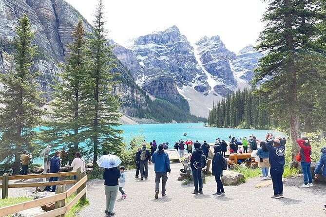 Calgary YYC Airport to Banff (Shared Shuttle Bus) - Meeting and Pickup Details
