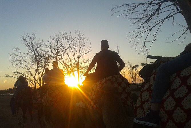 Camel Barbecue Sunset Agadir City - Exploring Agadirs Stunning Scenery