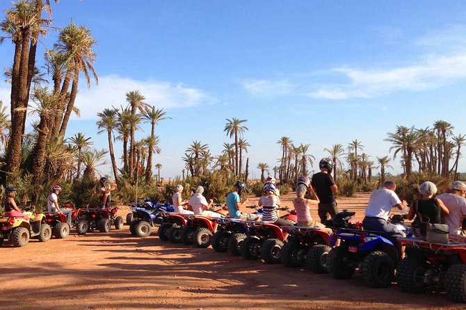 Camel Ride and Quad Bike in Palmeraie - Inclusions