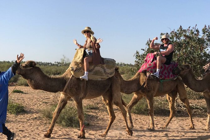 Camel Ride in Agadir at Sunset With Dinner (Bbq) - Pickup and Transportation Arrangements