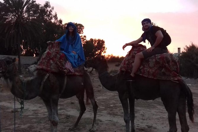 Camel Ride Tours From Agadir & Taghazout - Inclusions and Amenities