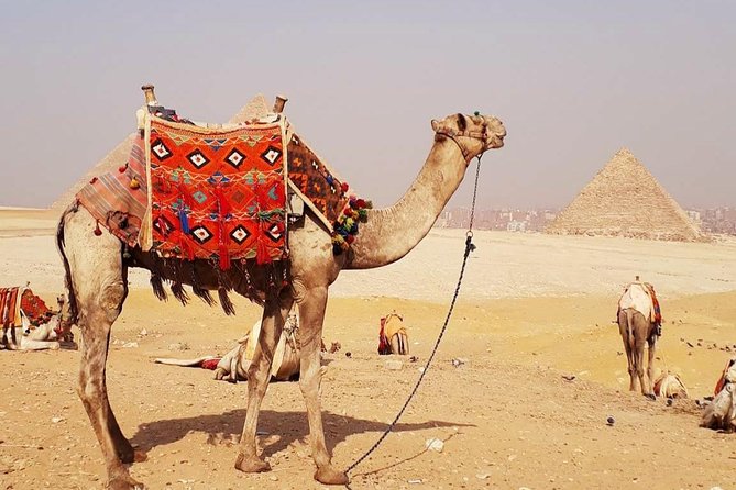 Camel Ride Trip Around Giza Pyramids During Sunrise Or Sunset - Whats Included in Your Experience