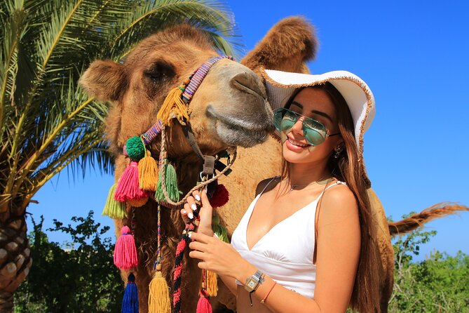 Camel Riding Experience on the Shores of the Pacific Ocean - Meeting and Pickup Logistics