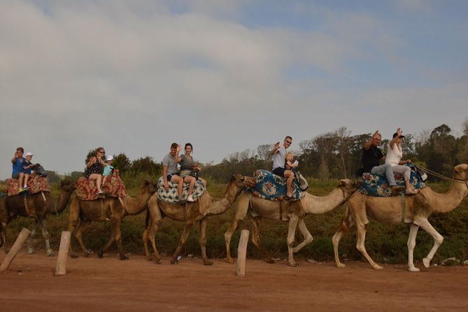 Camel Riding in Agadir for Cruise Ship Passengers - Accessibility and Participation