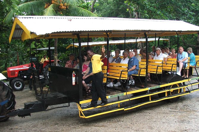 Camel Riding Outback Adventure Tour From Ocho Rios - Itinerary Breakdown